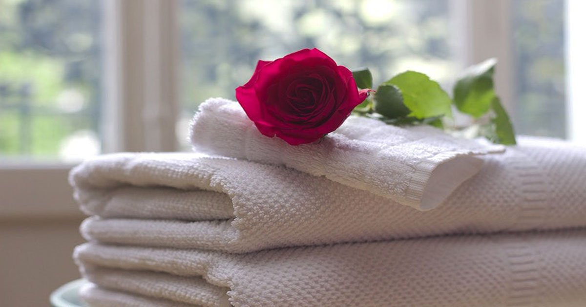 Kitchen Dish Towels