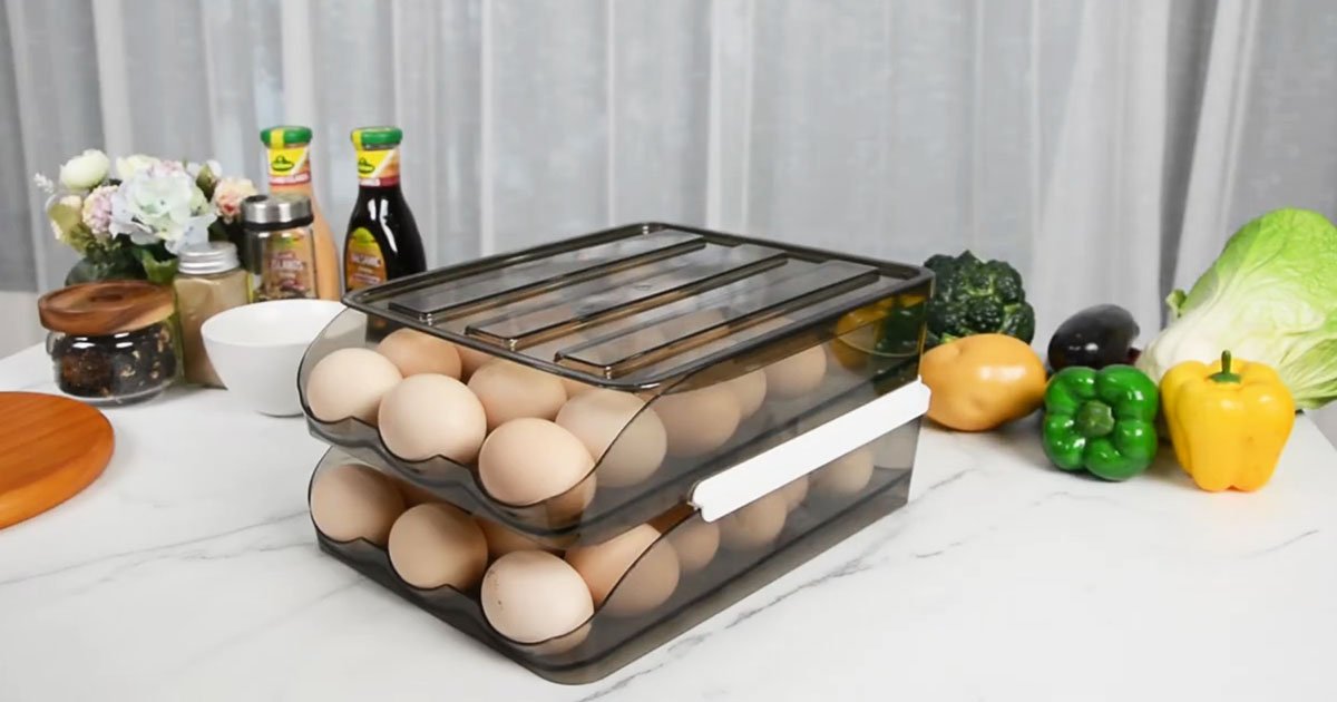 Egg Holder